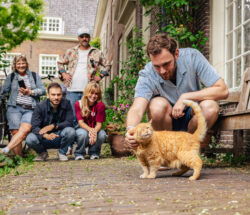 Man and friends meet a friendly orange cat outdoors. Group of people on a city trip to Amsterdam.