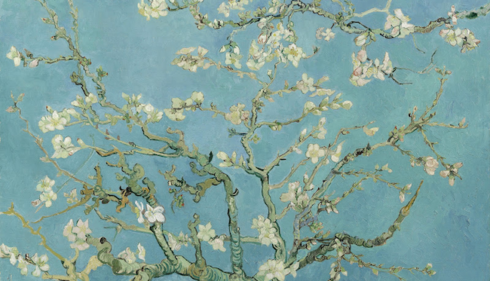 A blooming tree branch with white flowers against a blue background. A beautiful natural scene